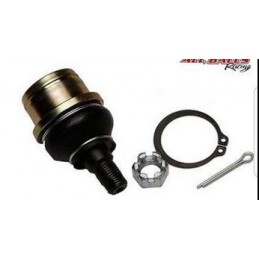 Rotule de triangle inferieur