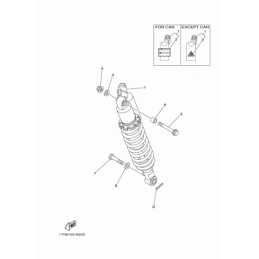SUSPENSION ARRIERE