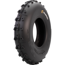 PNEU Goldspeed Sable SX...