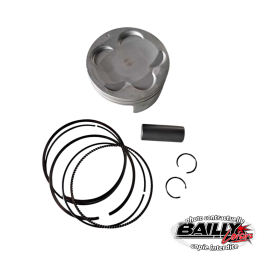 Kit piston complet origine...