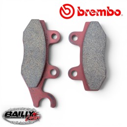 2 Plaquettes de frein...