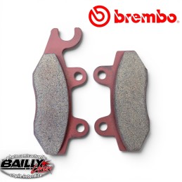 2 Plaquettes de frein...