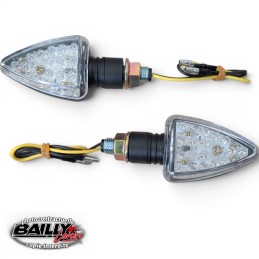 Paire de clignotants LED...