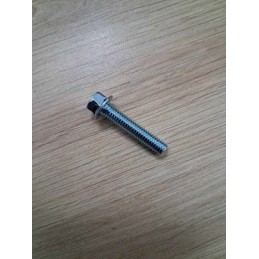 VIS M6X20 tête hexagonale 8mm