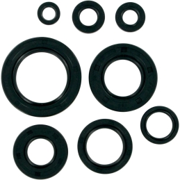 Joint spi moteur 250 TRXR