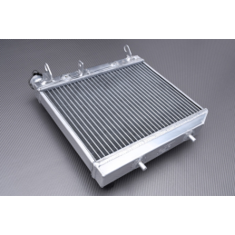 RADIATEUR AVBD POUR 450 TRX...