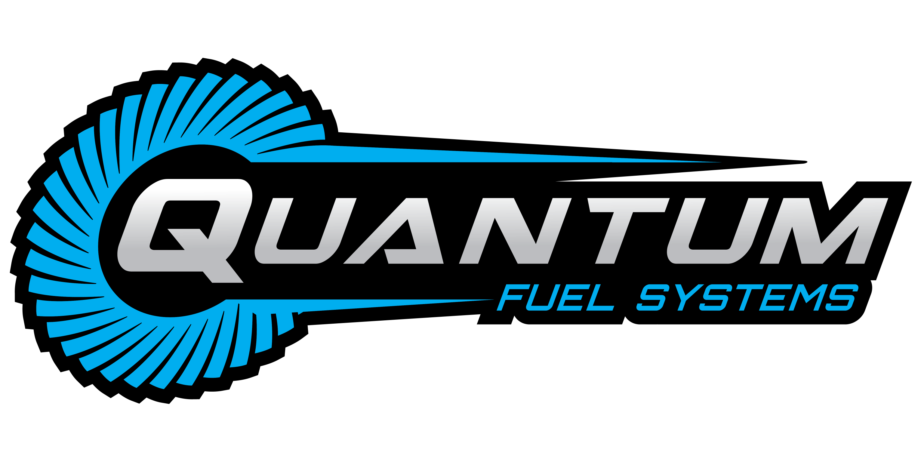 QUANTUM FUEL SYSTEME